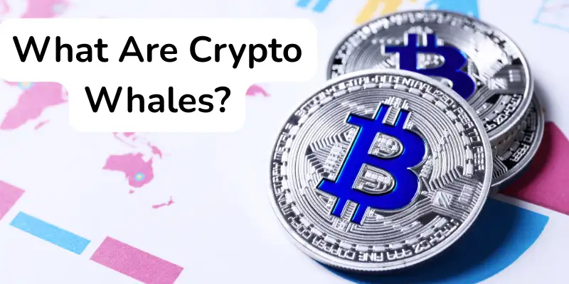 Image of crypto whale.q