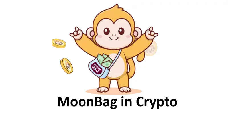 Moonbag in crypto image.