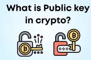 Public key in crypto – A Quick Overview