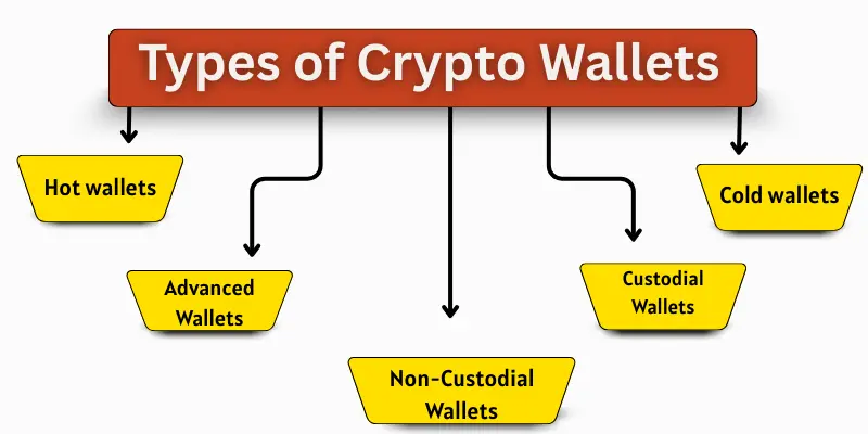 Types of crypto wallets names.
