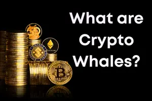  What are crypto whales