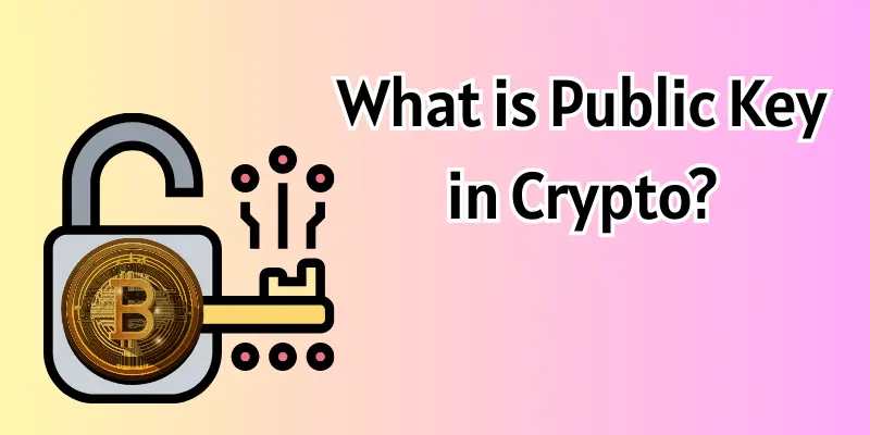 what is public key in crypto image What is public key in crypto image.